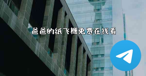 爸爸的纸飞機免费在线看