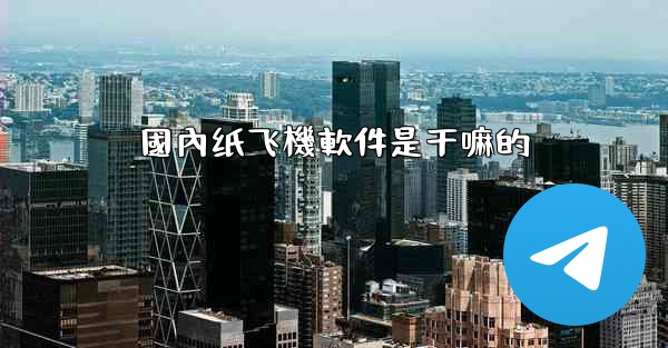 國內纸飞機軟件是干嘛的