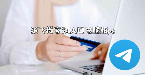 纸飞機官網入口電腦版pc