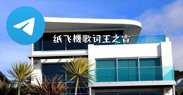 纸飞機歌词王之睿