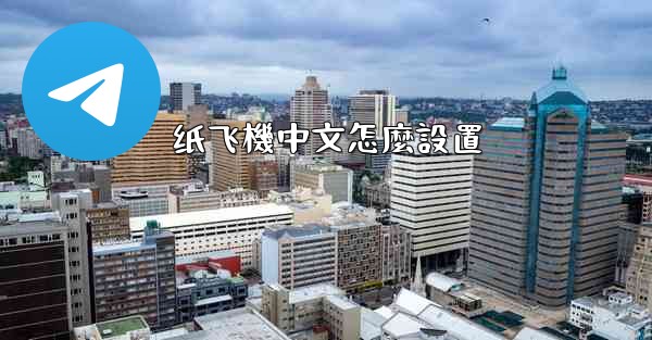 纸飞機中文怎麼設置