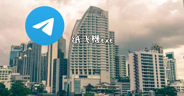 纸飞機txt