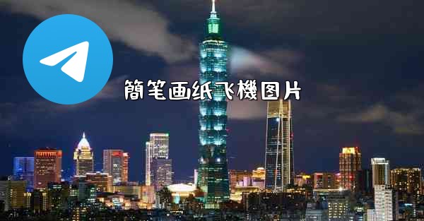 簡笔画纸飞機图片