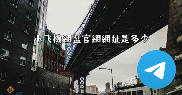 小飞機網盘官網網址是多少