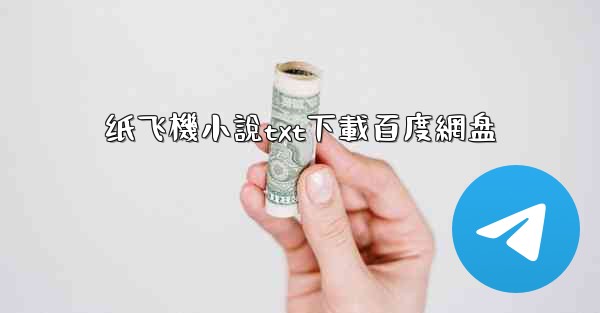 纸飞機小說txt下載百度網盘