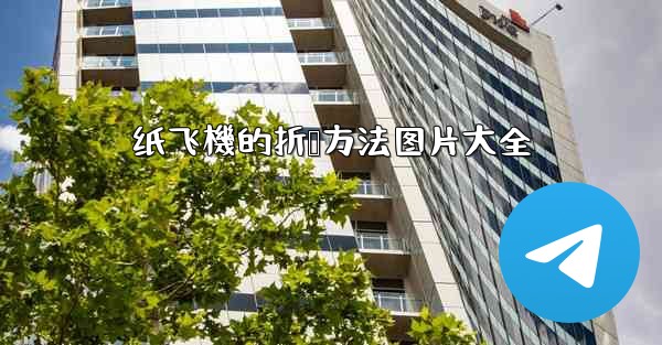 纸飞機的折叠方法图片大全