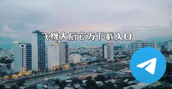 飞機大厨官方下載入口