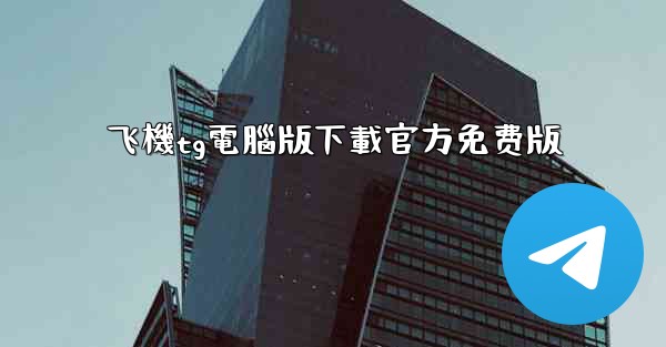 飞機tg電腦版下載官方免费版