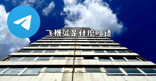 飞機號是什麼暗语
