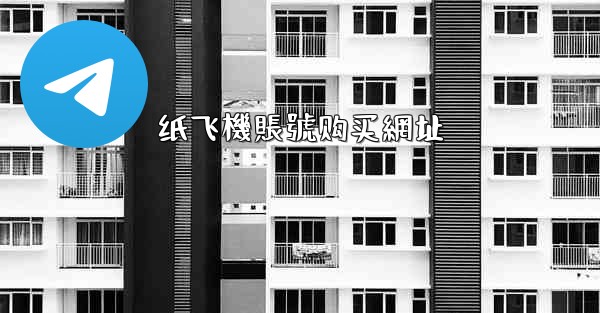纸飞機賬號购买網址