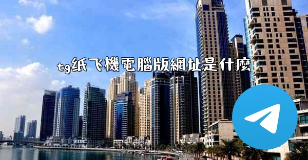 tg纸飞機電腦版網址是什麼