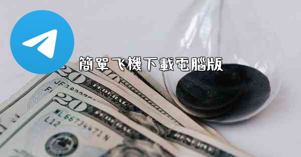 簡單飞機下載電腦版