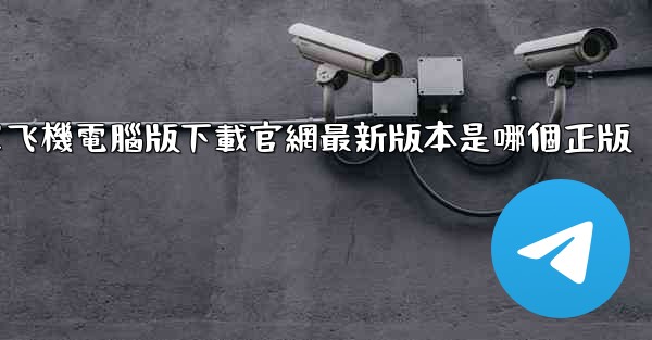 簡單飞機電腦版下載官網最新版本是哪個正版