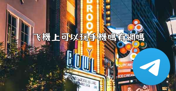 飞機上可以玩手機嗎有網嗎