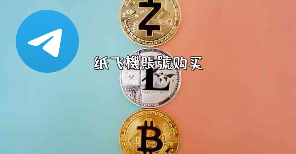 纸飞機賬號购买