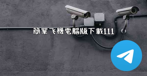 簡單飞機電腦版下載111