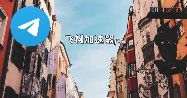 飞機加速器pc