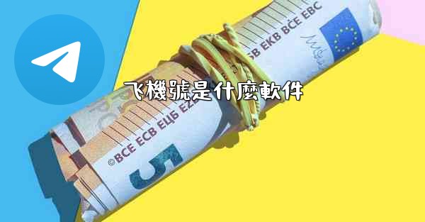 飞機號是什麼軟件