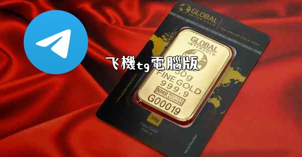 飞機tg電腦版