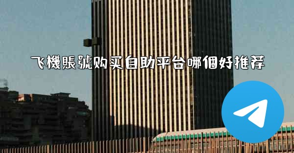 飞機賬號购买自助平台哪個好推荐