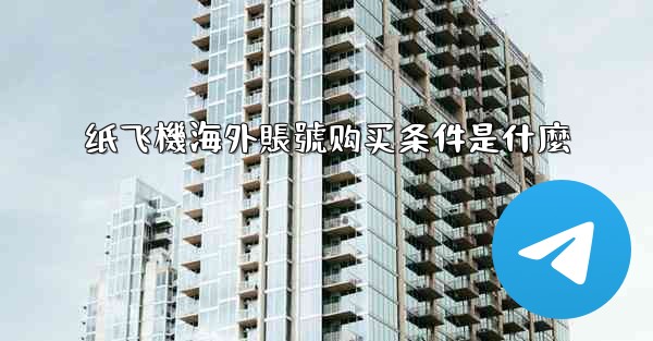 纸飞機海外賬號购买条件是什麼