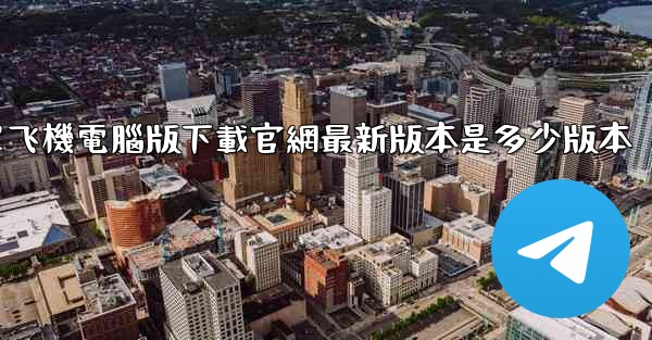 簡單飞機電腦版下載官網最新版本是多少版本