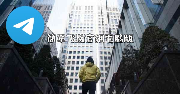 簡單飞機官網電腦版