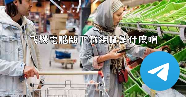 飞機電腦版下載網址是什麼啊