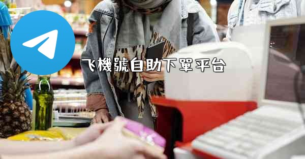 飞機號自助下單平台