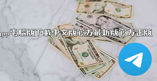 飞機app電腦版下載中文版官方最新版官方正版