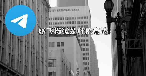 纸飞機號是什麼意思