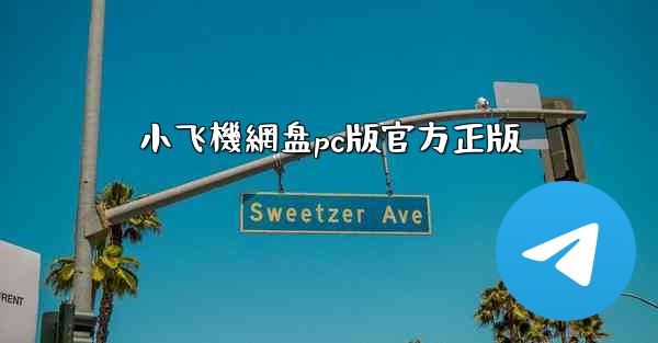 小飞機網盘pc版官方正版