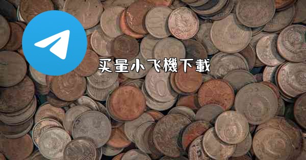 买量小飞機下載