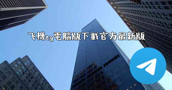 飞機tg電腦版下載官方最新版