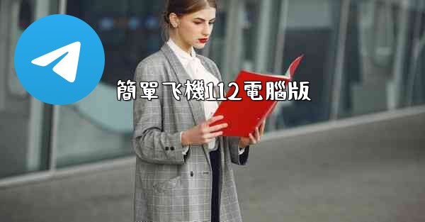 簡單飞機112電腦版
