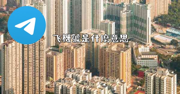 飞機號是什麼意思