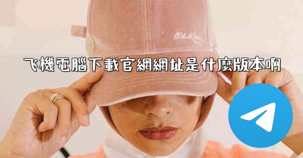 飞機電腦下載官網網址是什麼版本啊