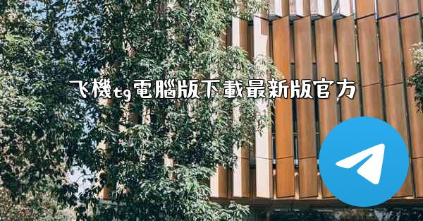 飞機tg電腦版下載最新版官方