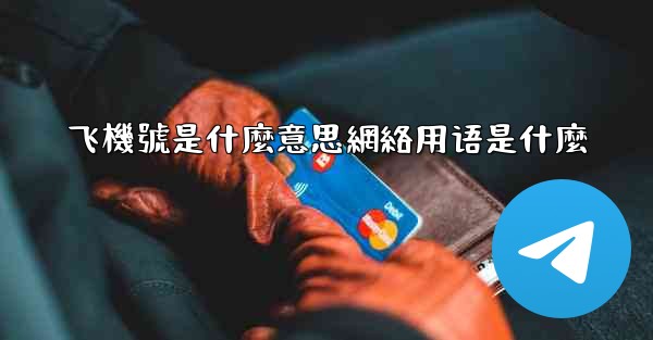 飞機號是什麼意思網絡用语是什麼