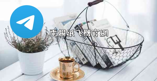 電报纸飞機官網