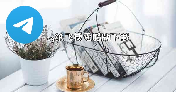 tg纸飞機電腦版下載