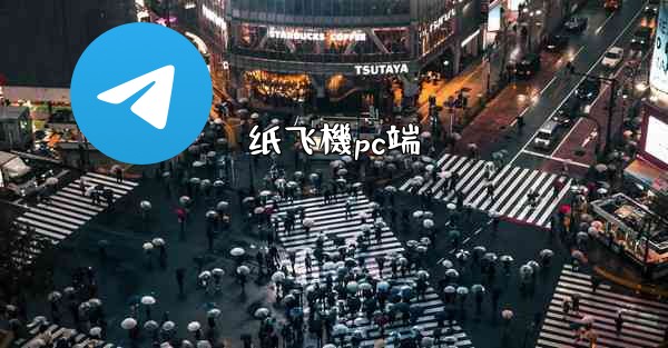 纸飞機pc端