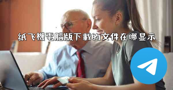 纸飞機電腦版下載的文件在哪显示