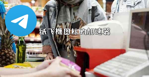 纸飞機图标的加速器