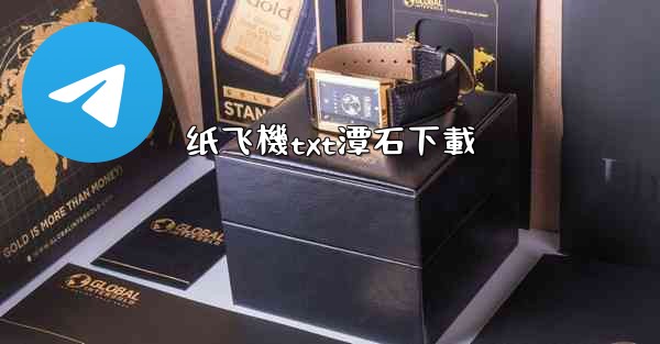纸飞機txt潭石下載
