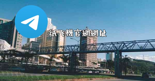 纸飞機官網網址