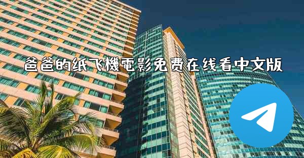 爸爸的纸飞機電影免费在线看中文版