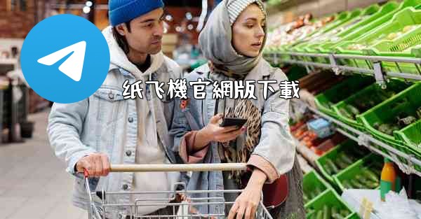 纸飞機官網版下載