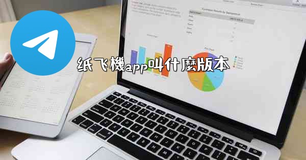 纸飞機app叫什麼版本