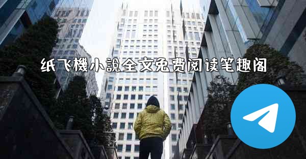 纸飞機小說全文免费阅读笔趣阁